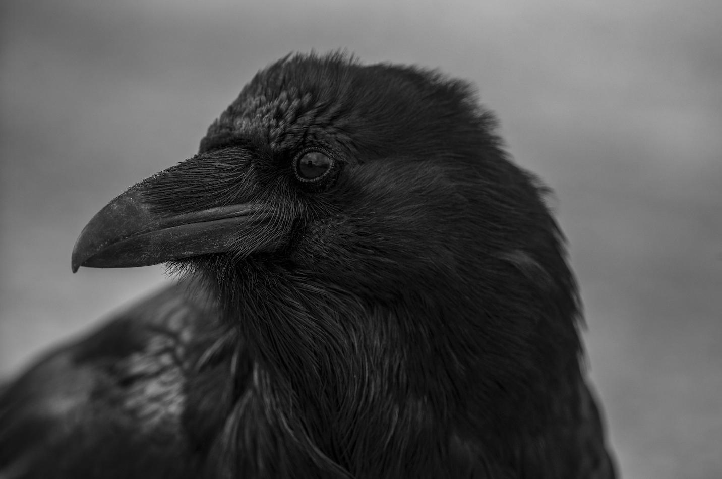 Screenshot 2024-01-08 at 4.14.46 PM.png