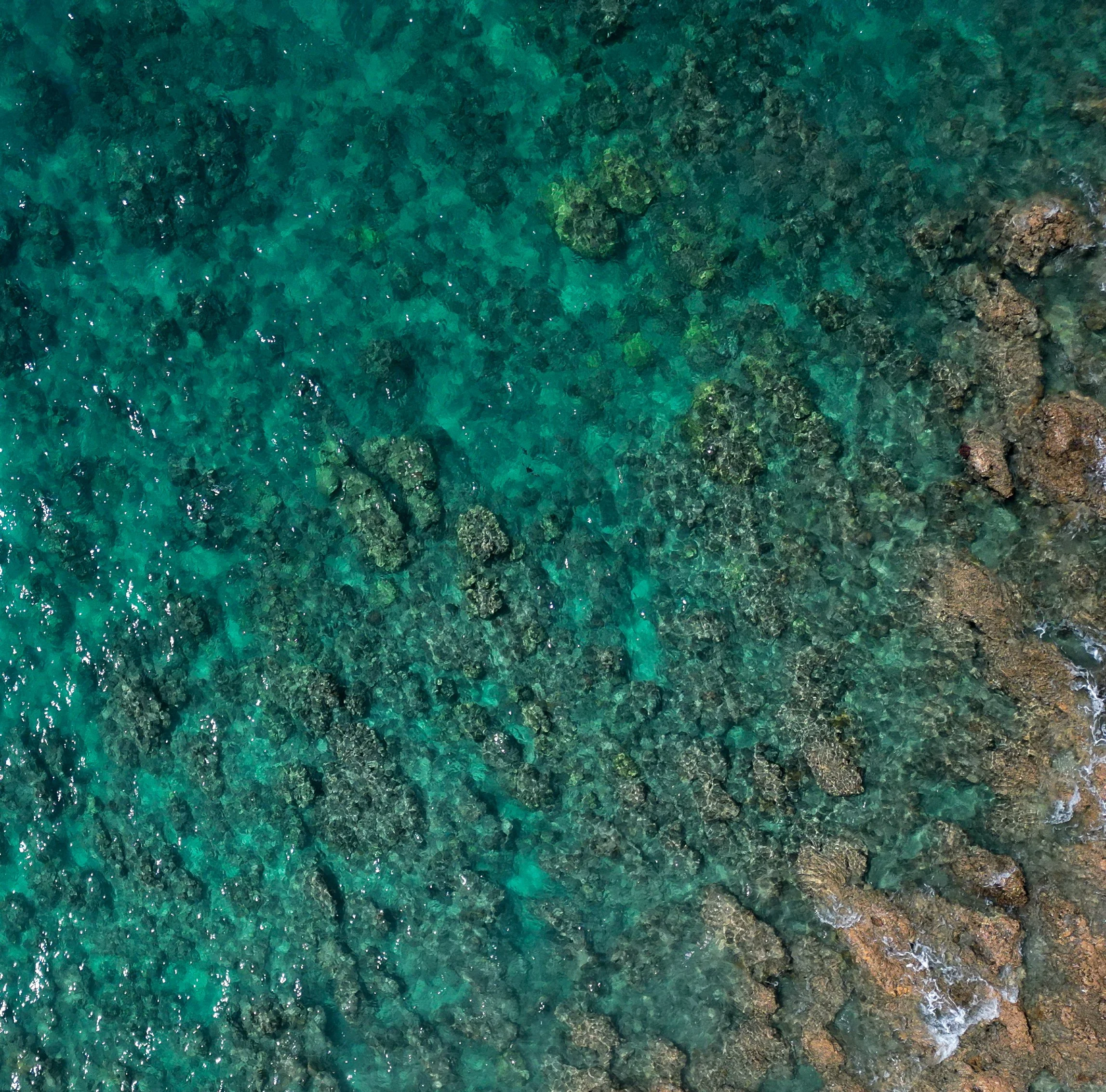 dji_fly_20230521_125348_50_1684735856239_photo.jpg