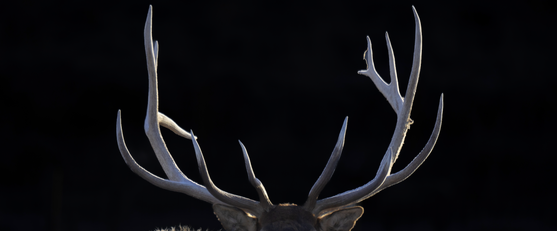 Screenshot 2024-01-08 at 4.12.34 PM.png