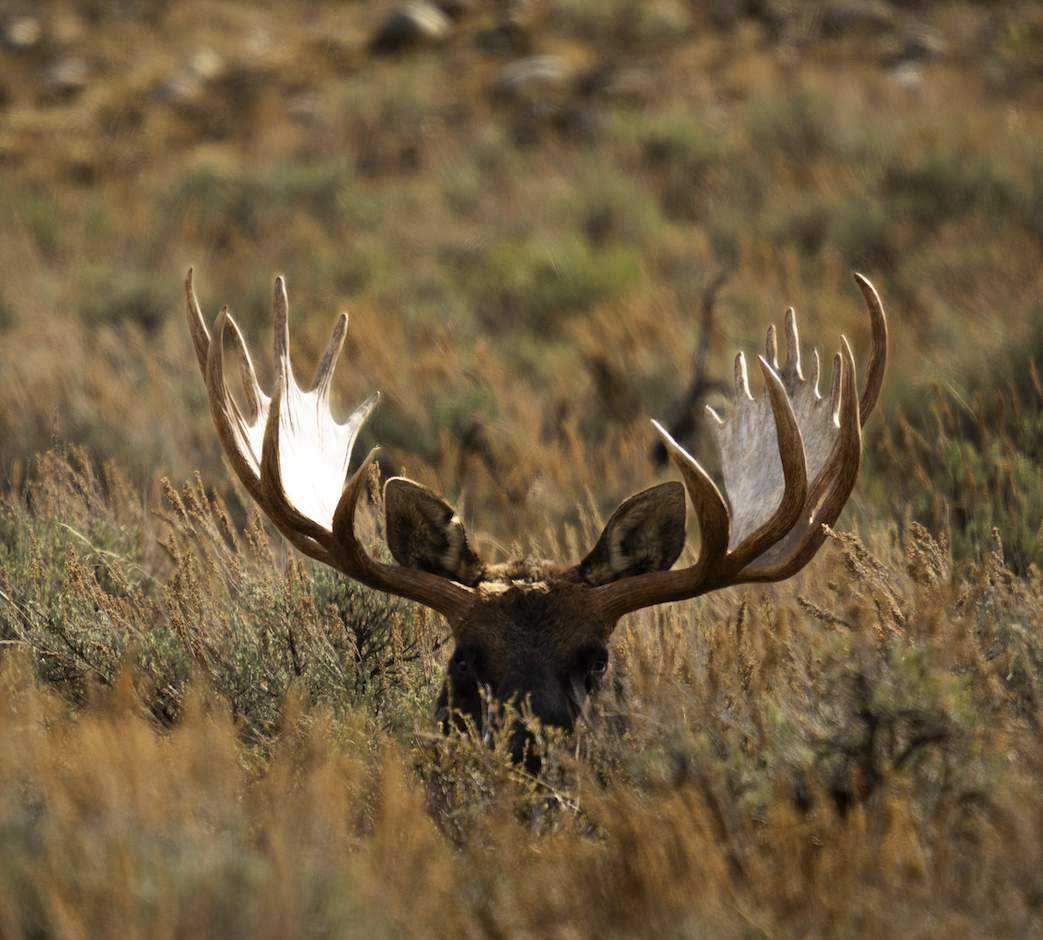 Screenshot 2024-01-08 at 4.13.35 PM.png