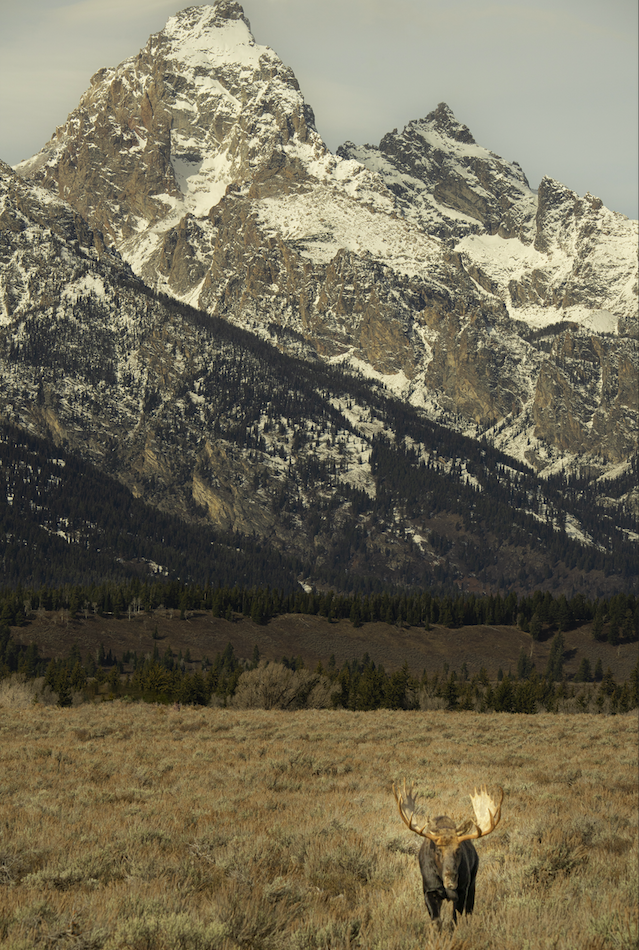 Screenshot 2024-01-08 at 4.13.12 PM.png