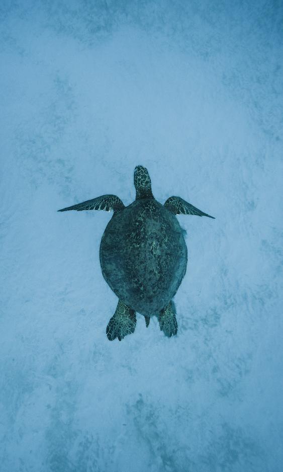 Screenshot 2024-01-08 at 4.06.35 PM.png