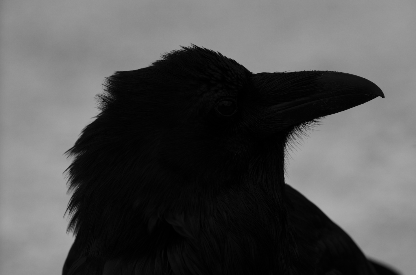 Screenshot 2024-01-08 at 4.14.54 PM.png