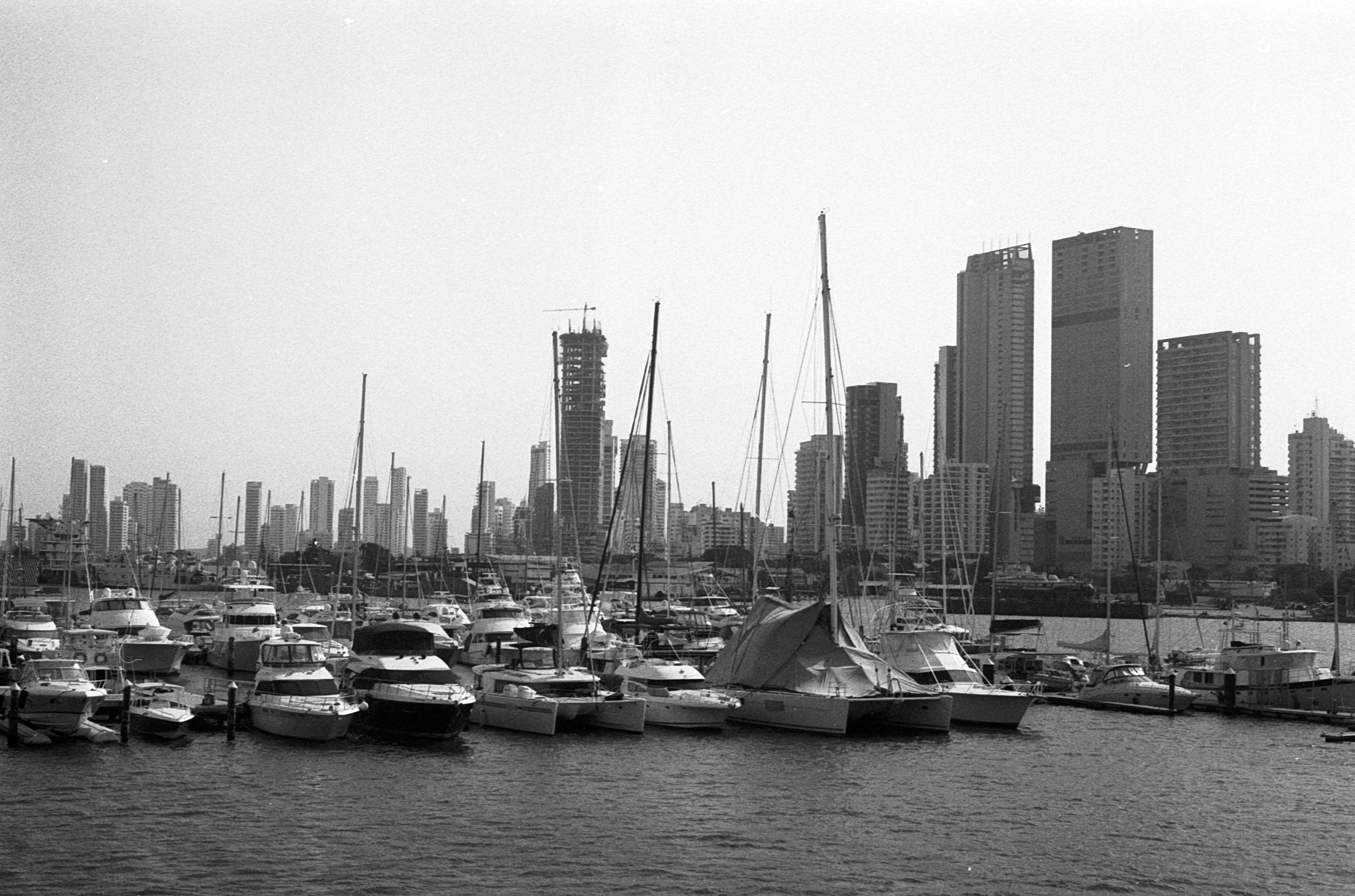 3896_8.jpg