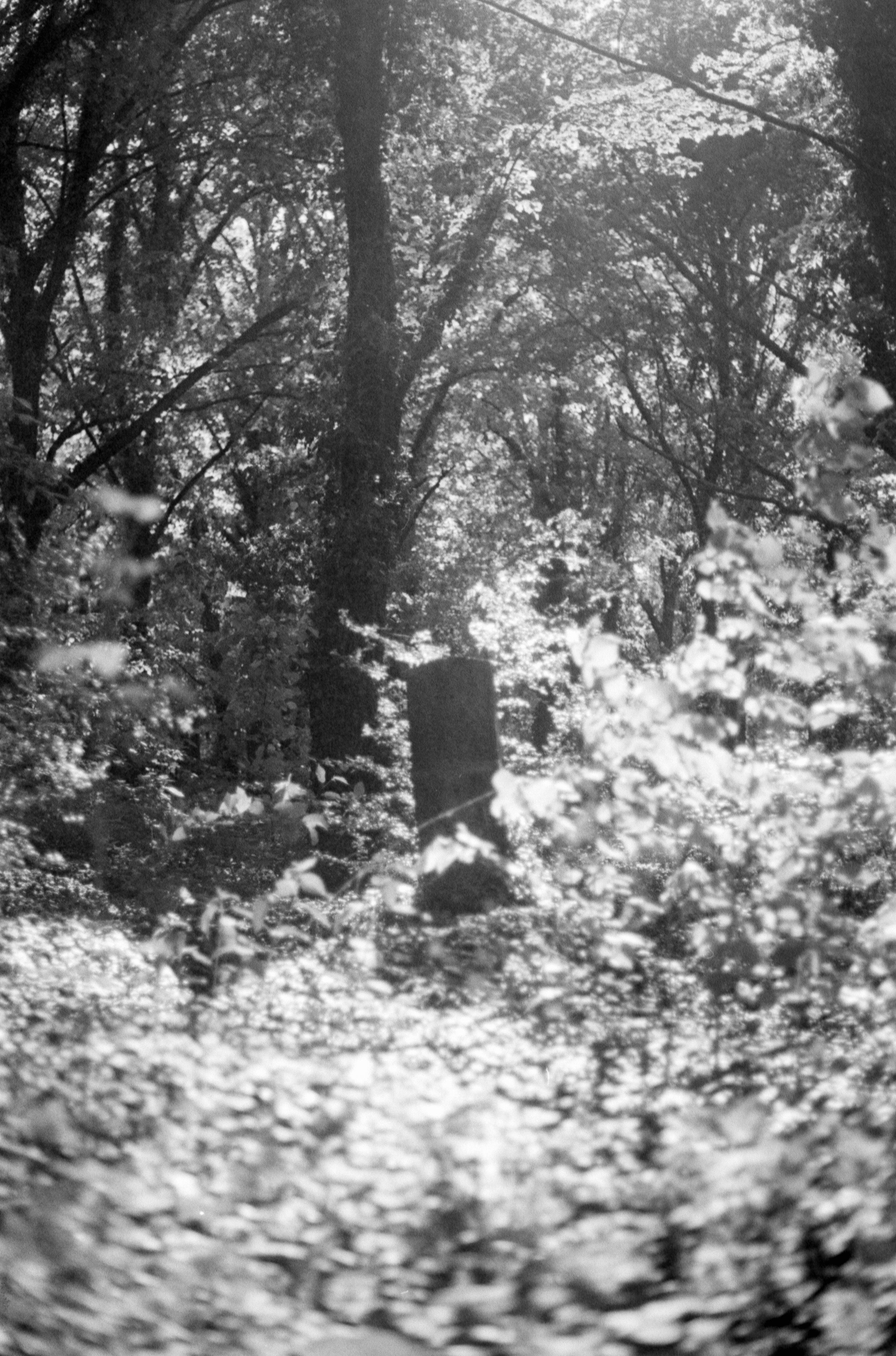 04881-06.jpg
