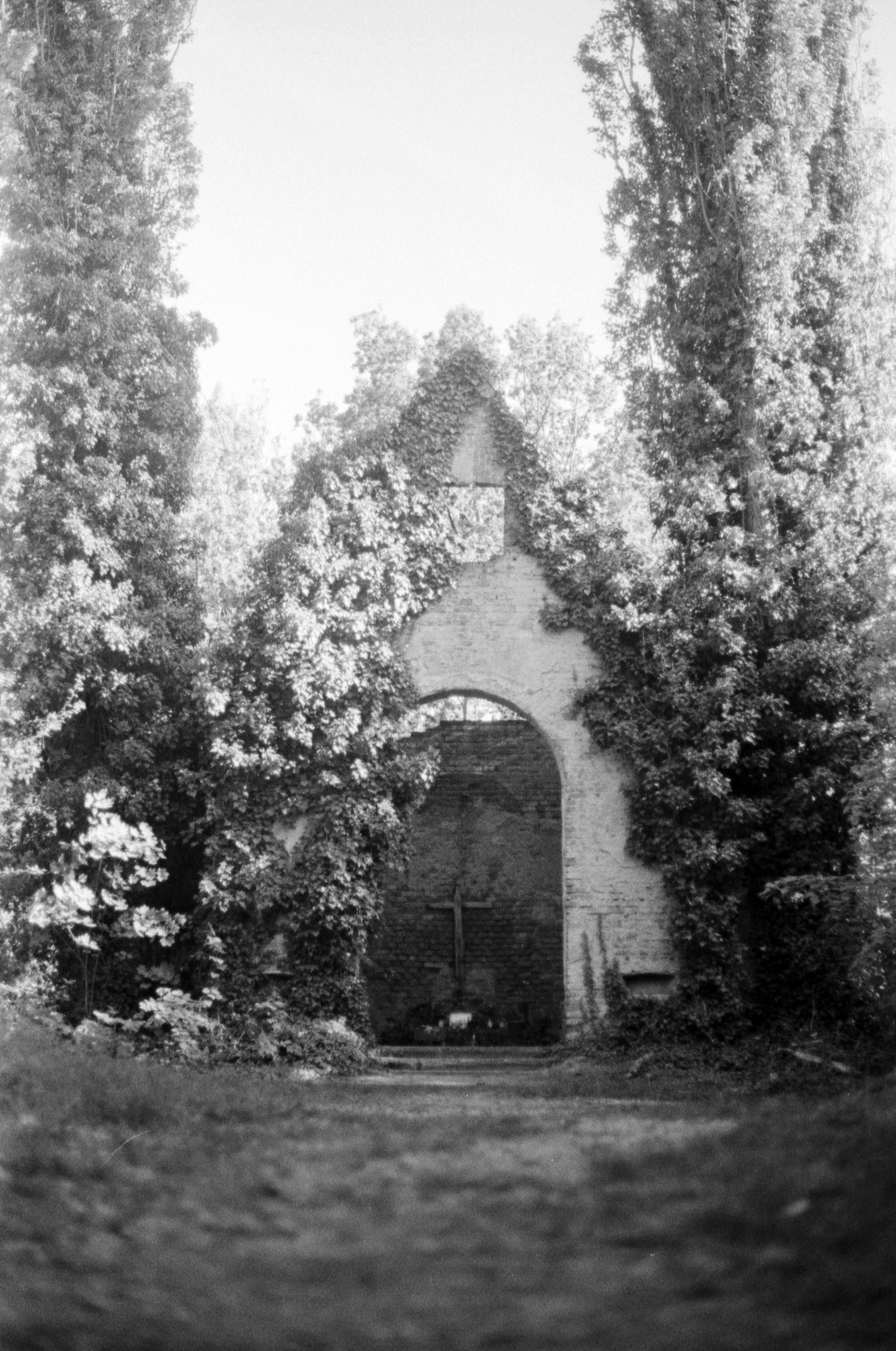 04881-12.jpg