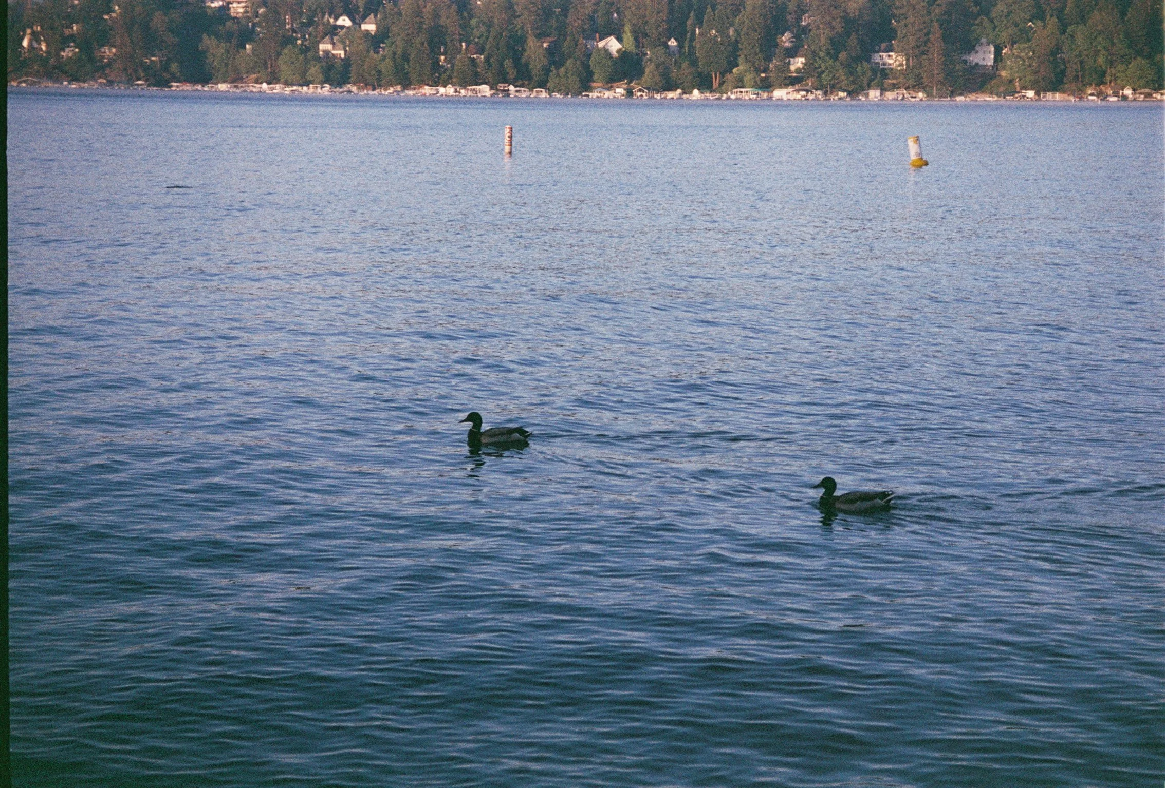 RICHARD572024267 (2).jpeg