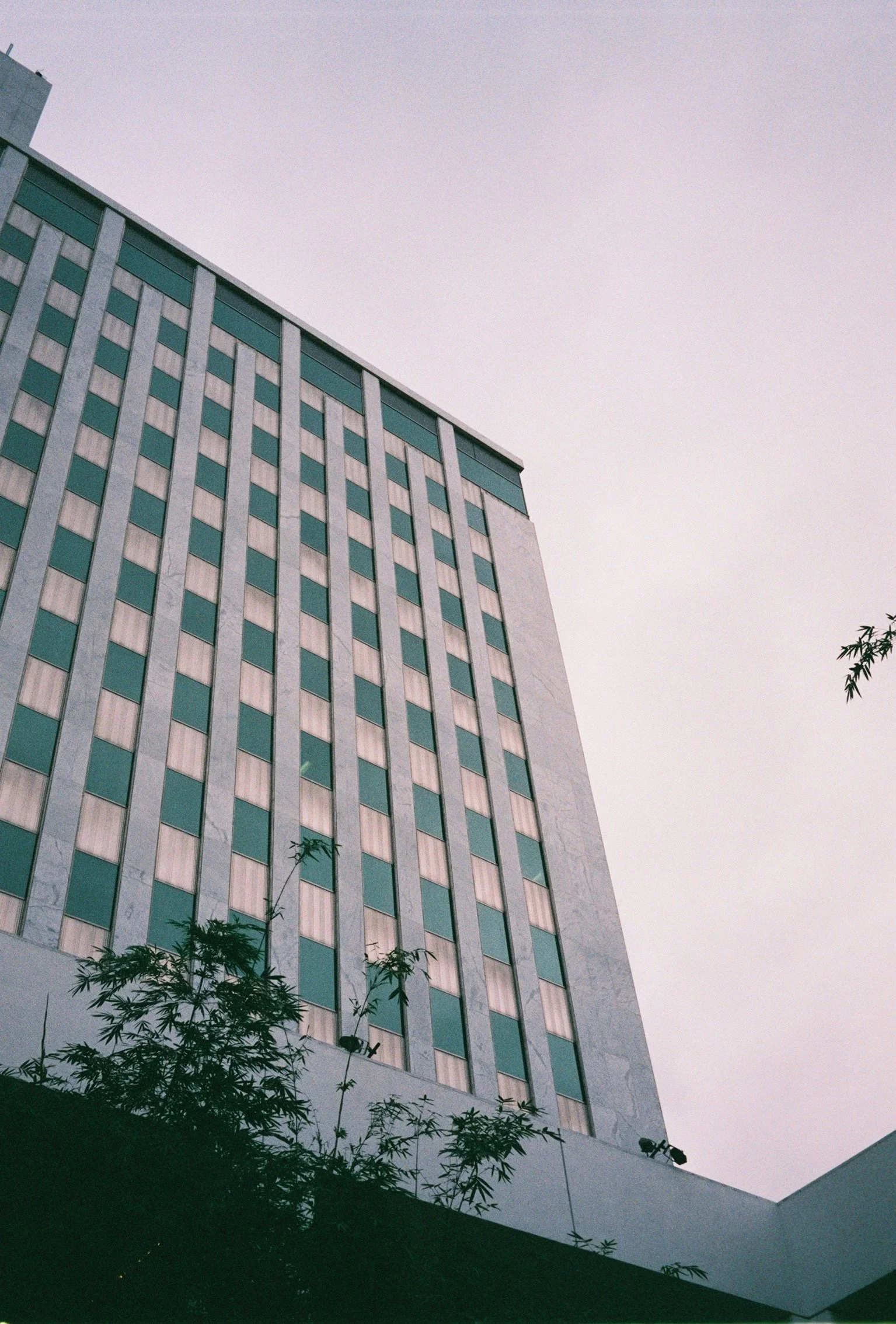 RICHARD572024267 (44).jpeg