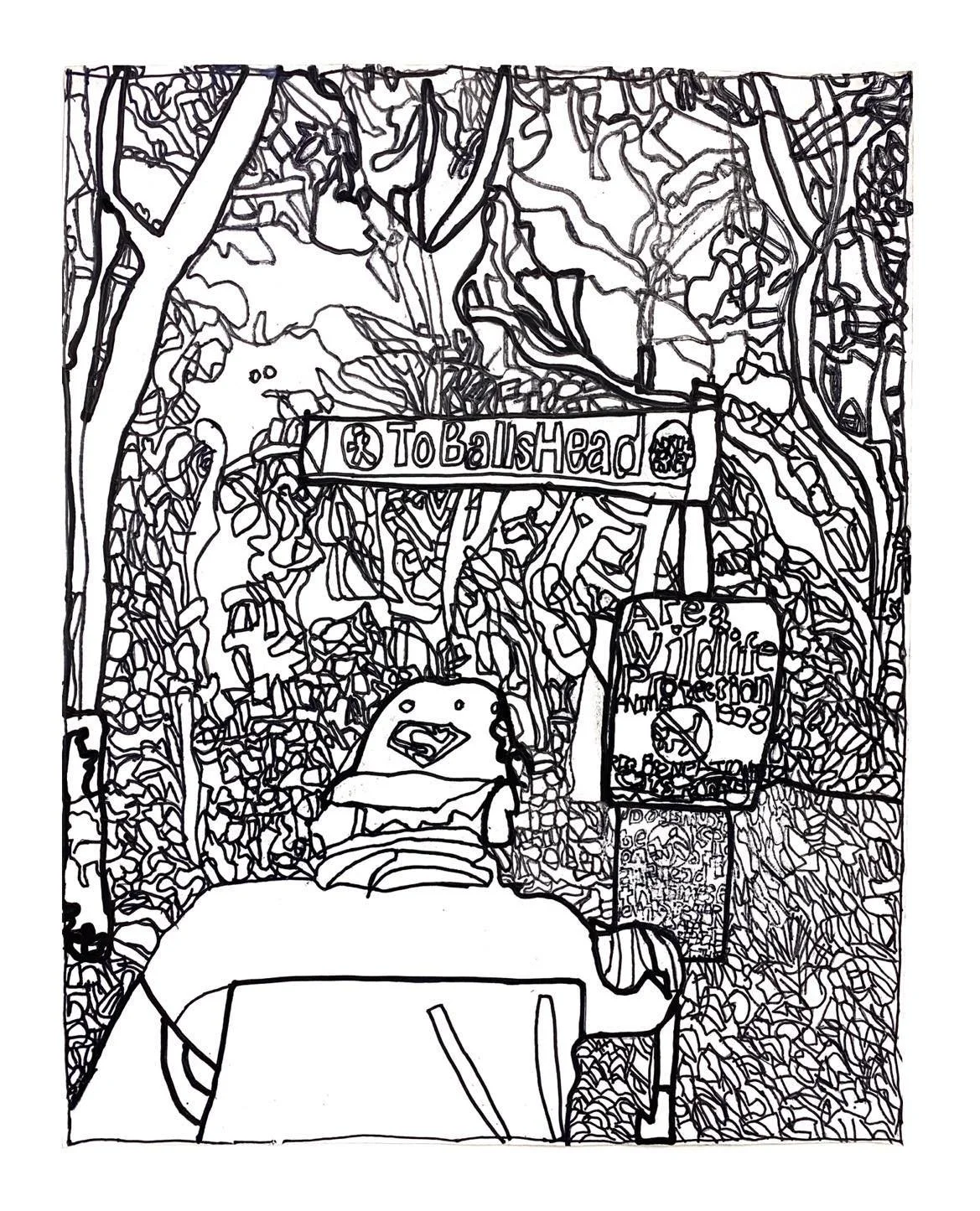 Finding Balls Head.jpeg