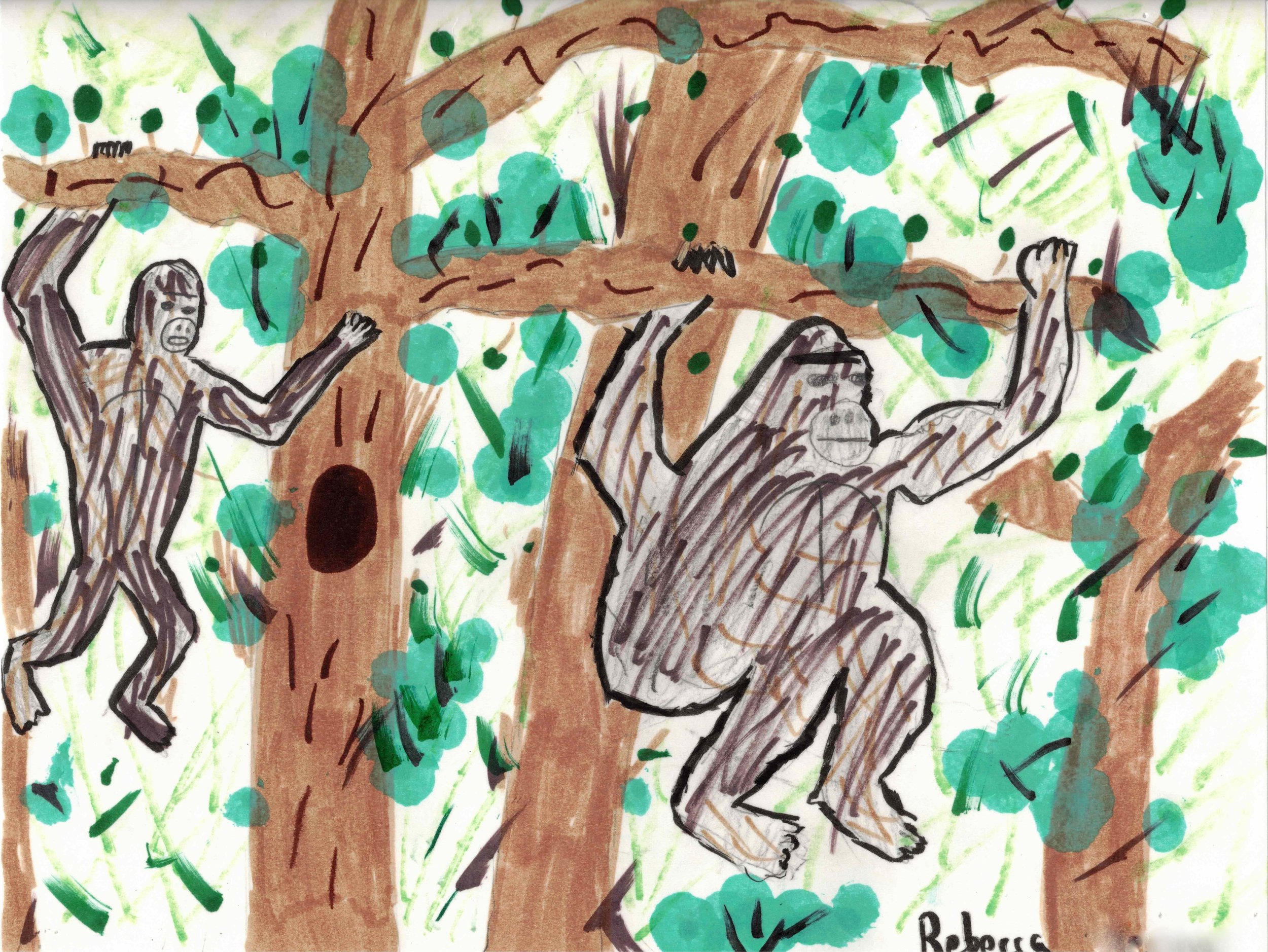 Swinging Apes