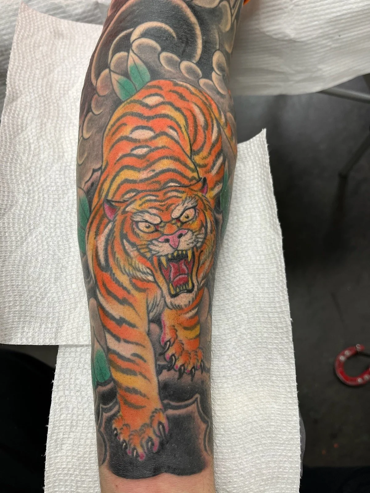 japanese traditional colored tiger arm sleeve
Tattooed by Cody Wallenius at easy tiger tattoo in Merrillville Indiana