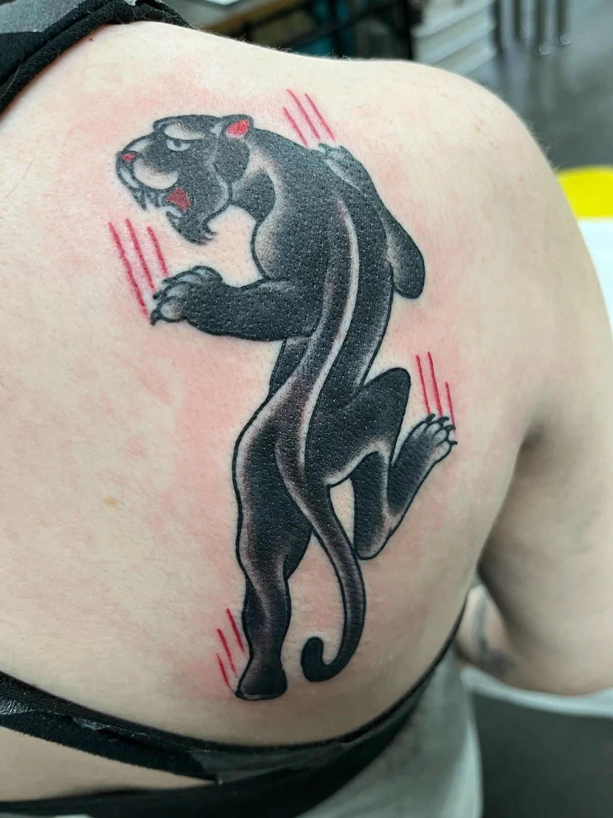 American tradional Black panther tattoo done by Cody Wallenius at Easy Tiger Tattoo In Merrillville Indiana