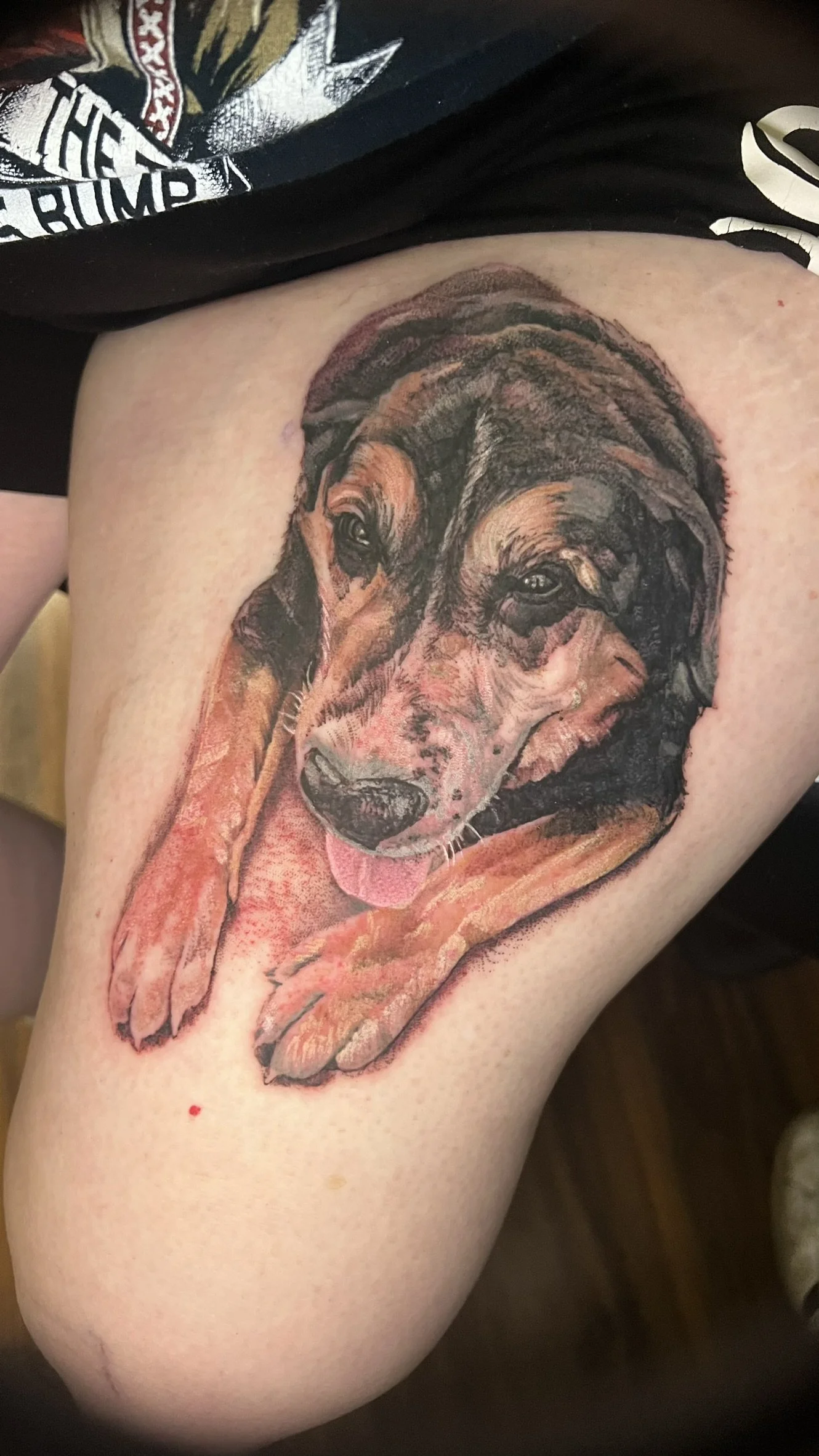 full color dog portait done on the leg by sterling gorejus in merrillville indiana at easy tiger tattoo