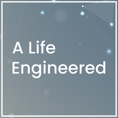 Steve Huynh: A Life Engineered  Channel's Website