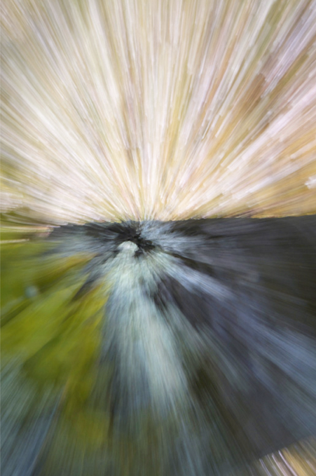 BREAKTHROUGH BY GAIL HORVATH, PHOTOGRAPHY