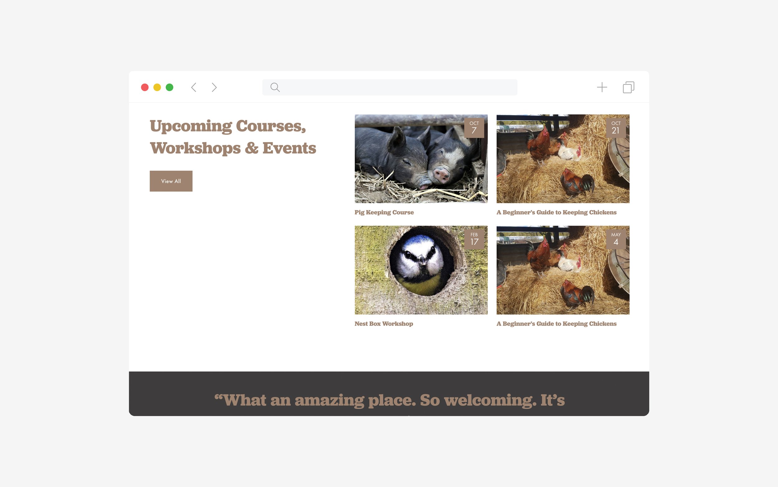 Squarespace Web Designer — Lake Farm Days 1.jpg
