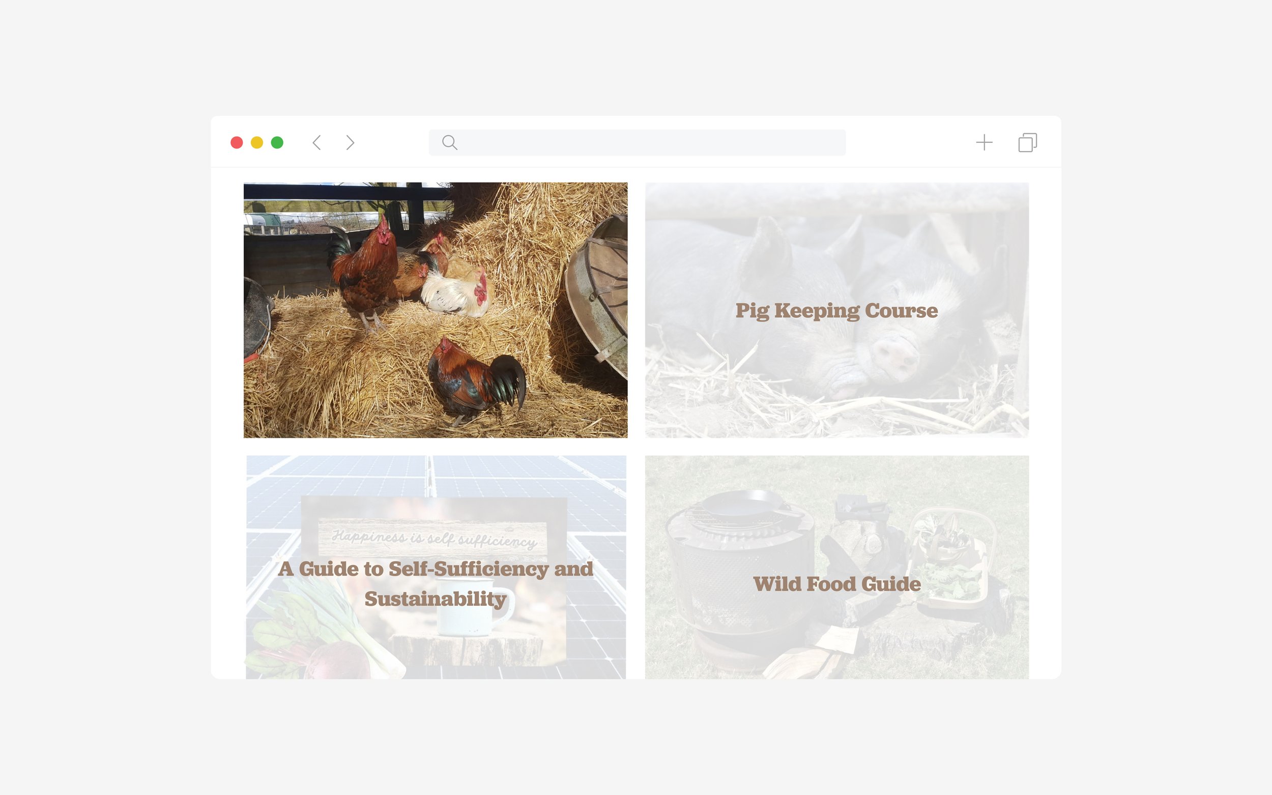 Squarespace Web Designer — Lake Farm Days 3.jpg