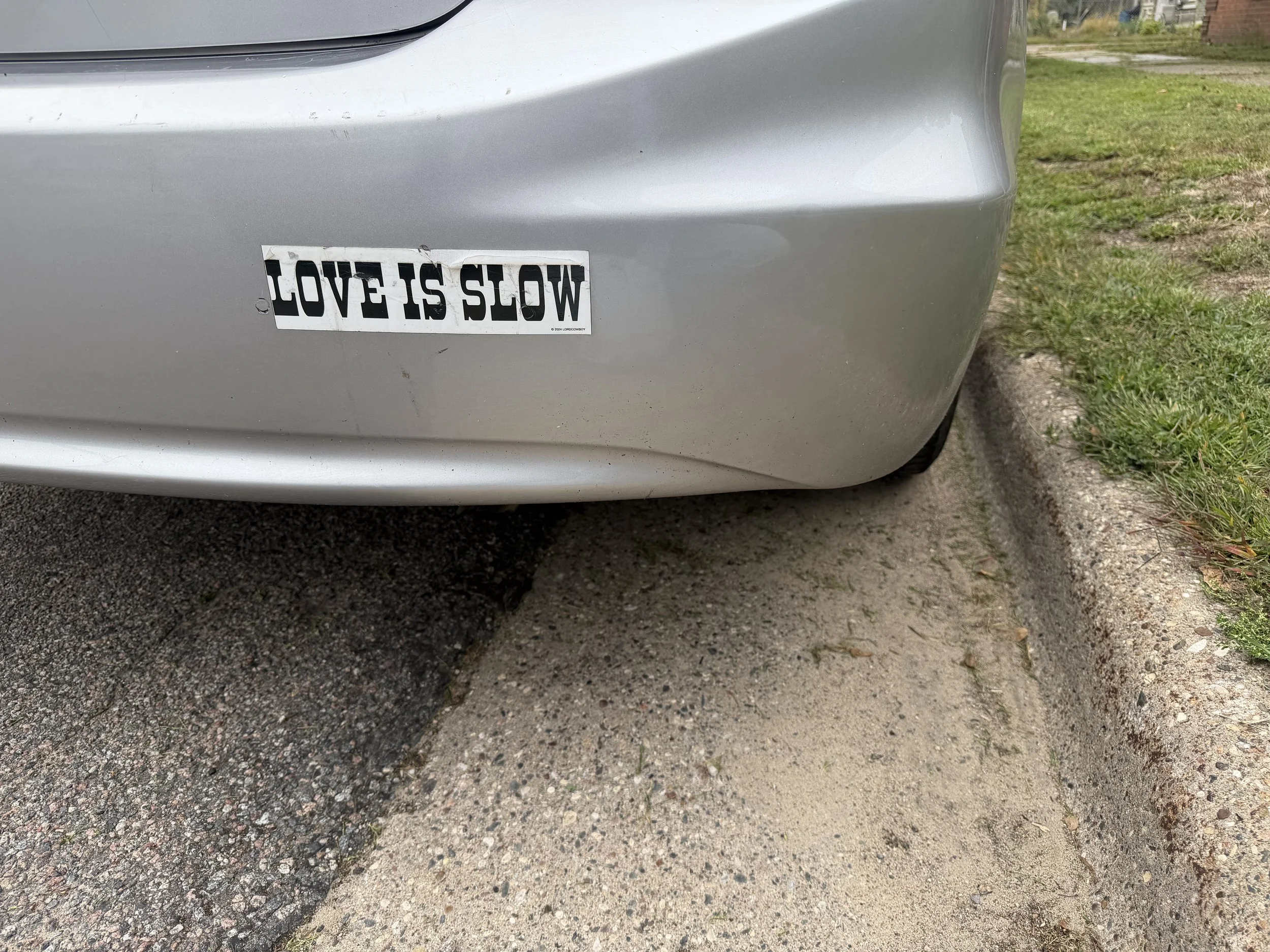 IMG_2987.jpeg