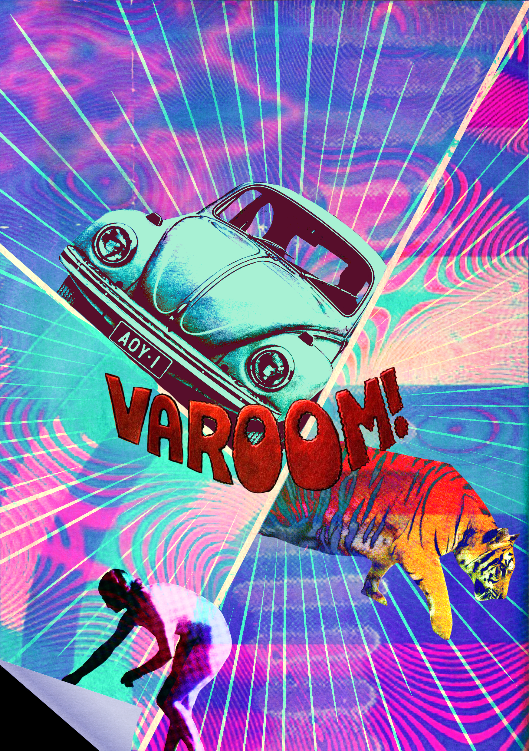 wonderland.png