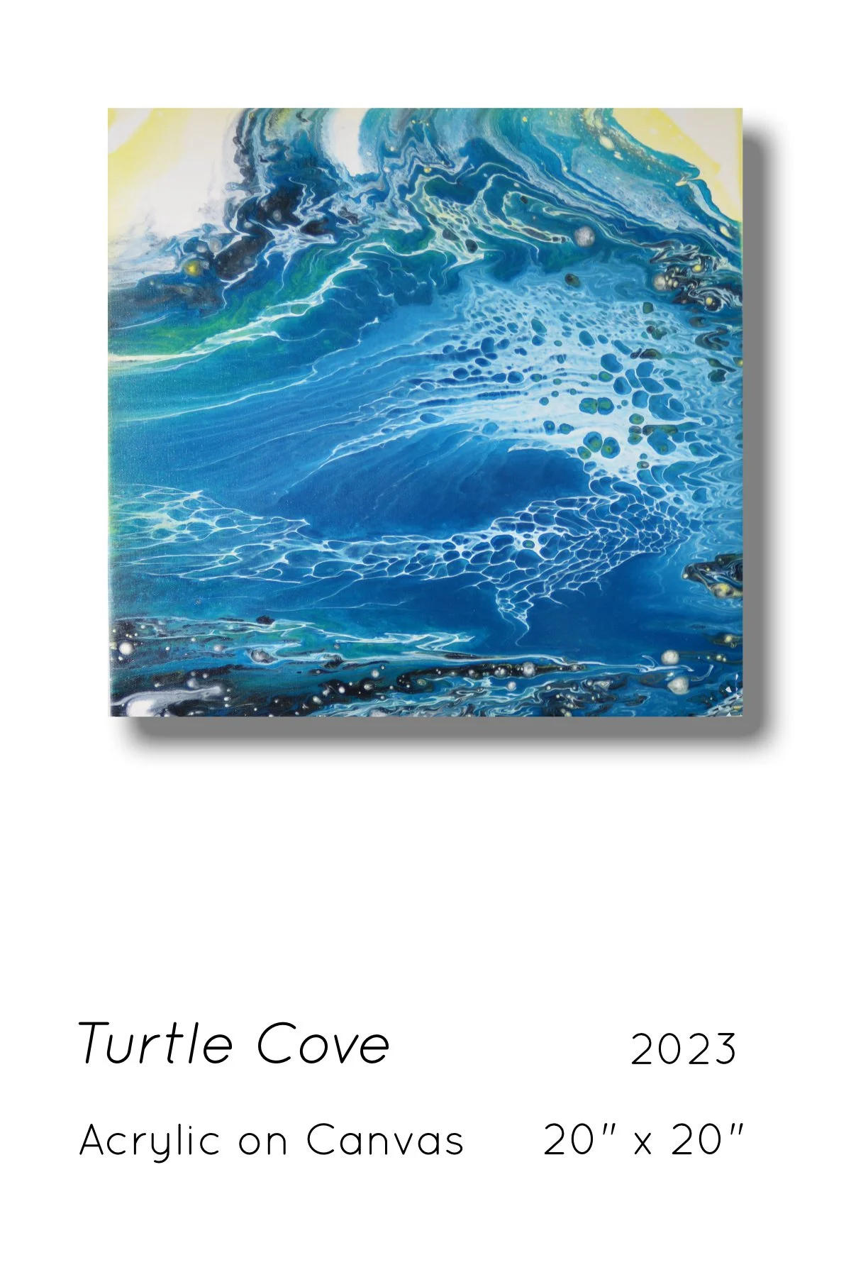 Turtle Cove