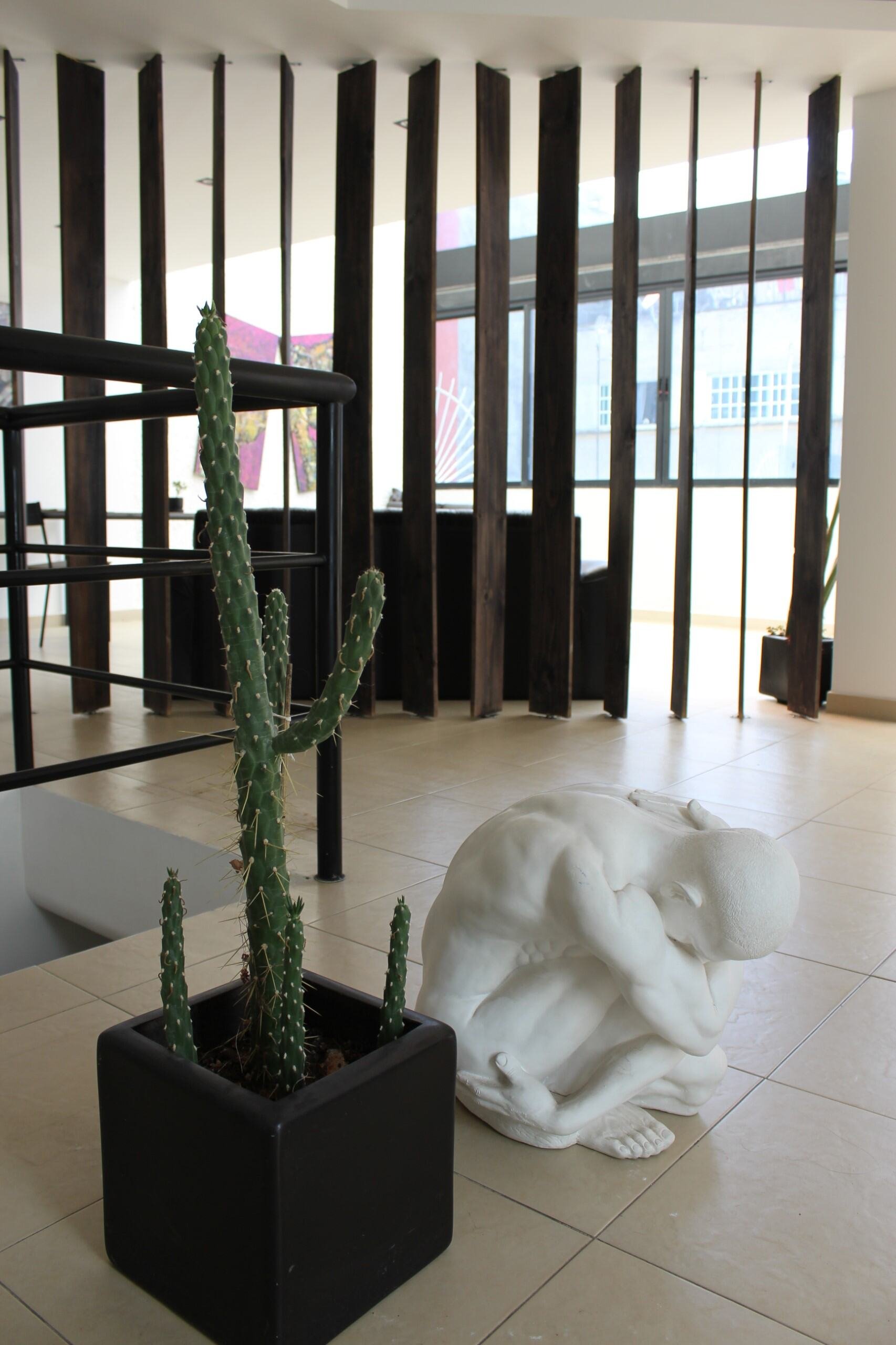planta cactus tridente SR.jpeg