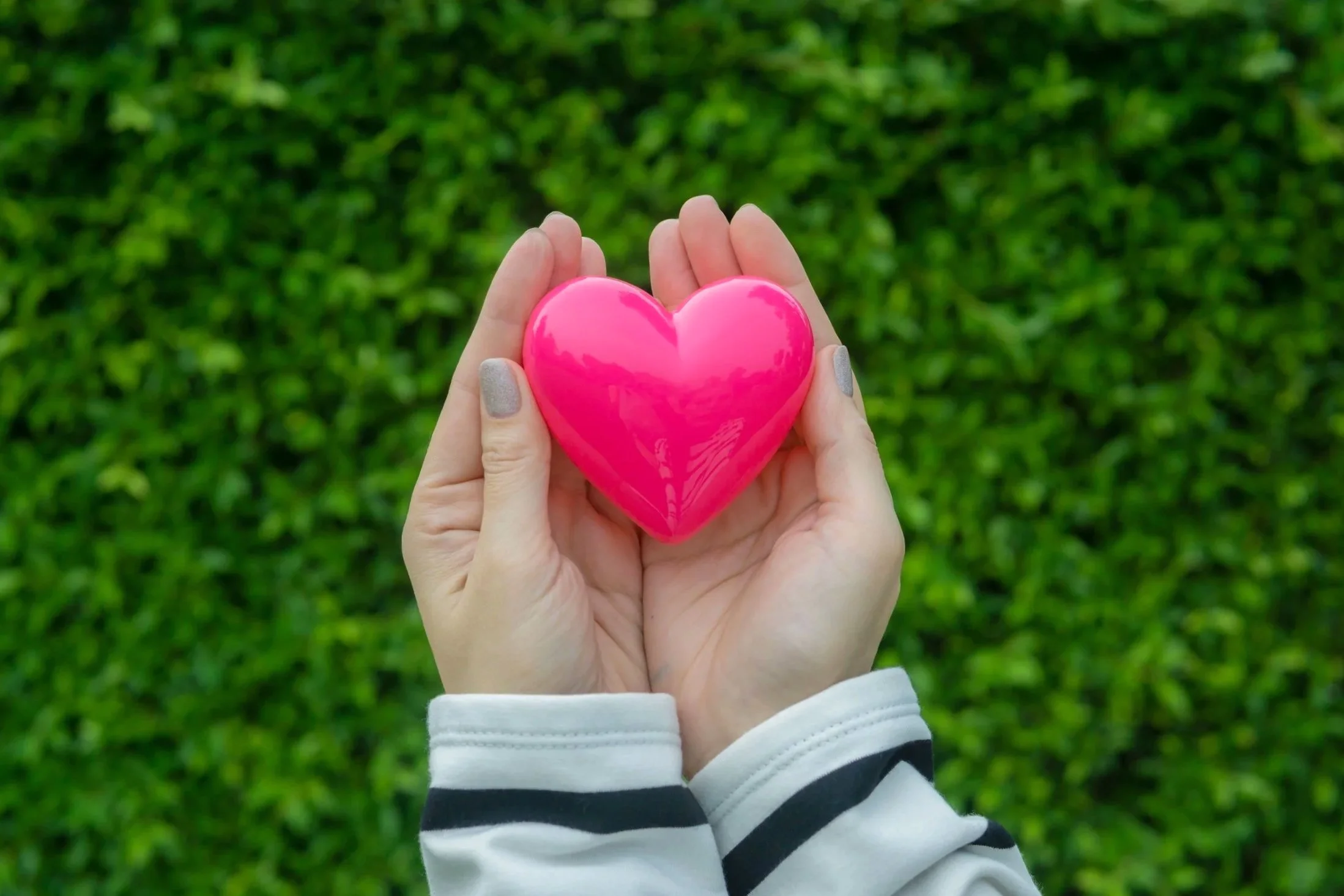Hands holding a pink heart-shaped object against a green, leafy background.