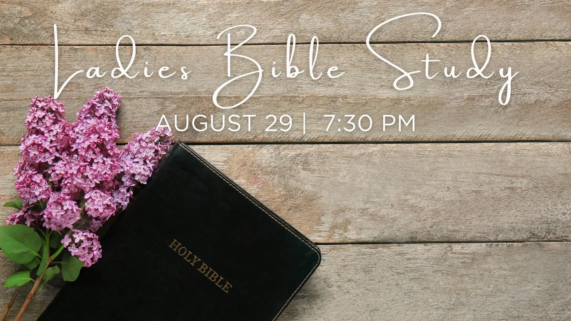 Ladies Bible Study