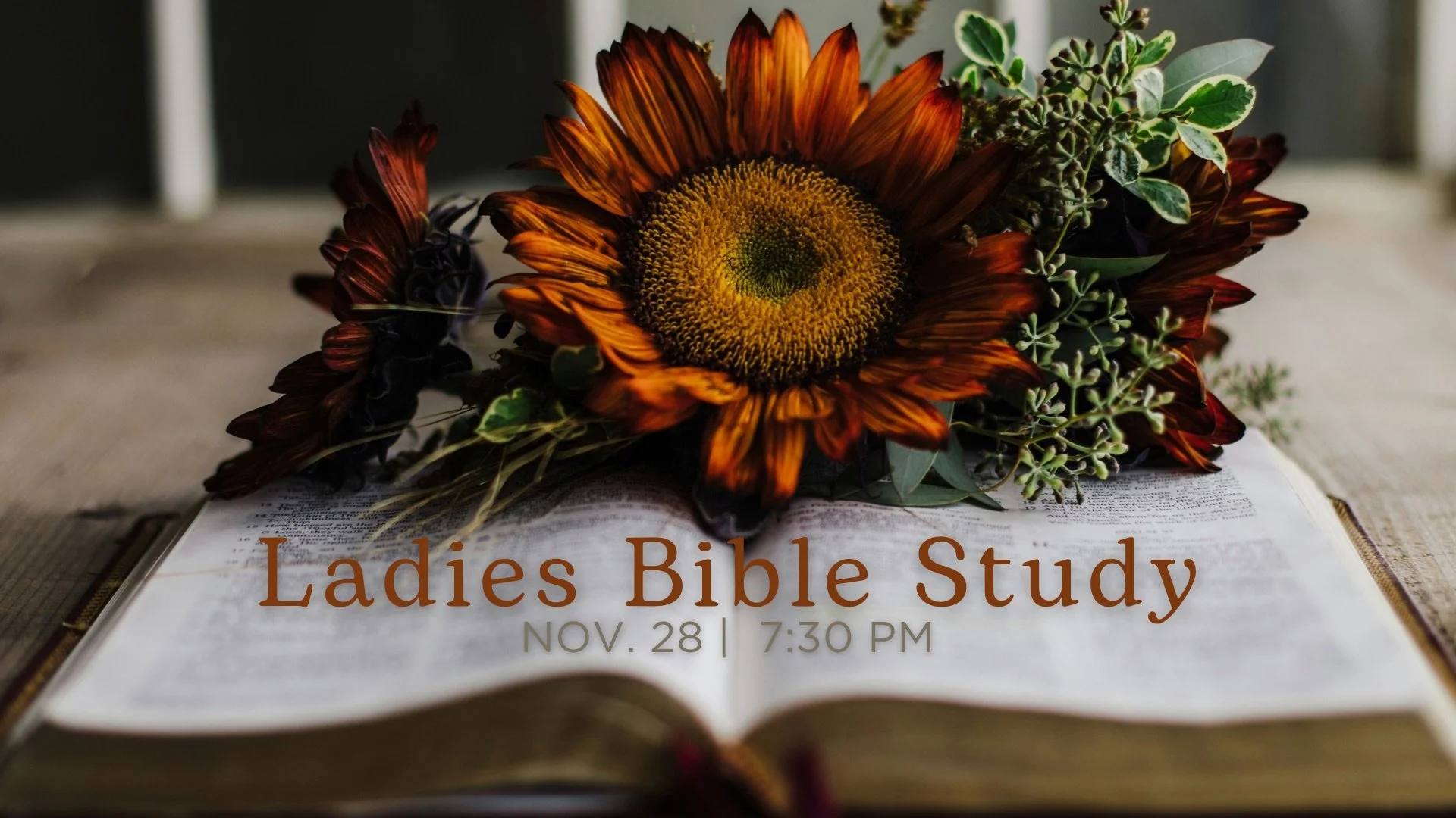Ladies Bible Study
