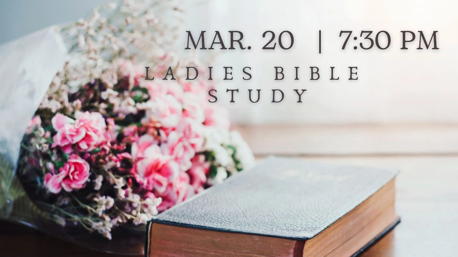 Ladies Bible Study