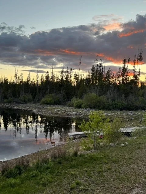 image2.jpeg