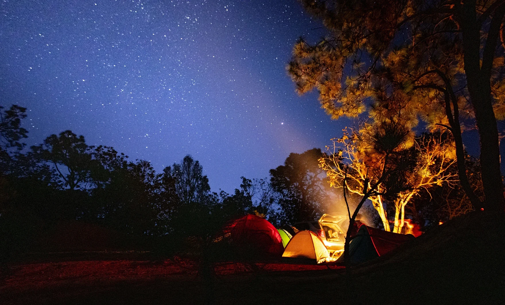 Nighttime Monkeylion campsite with multiple tents illuminated by campfire, surrounded by trees, under a starry sky.