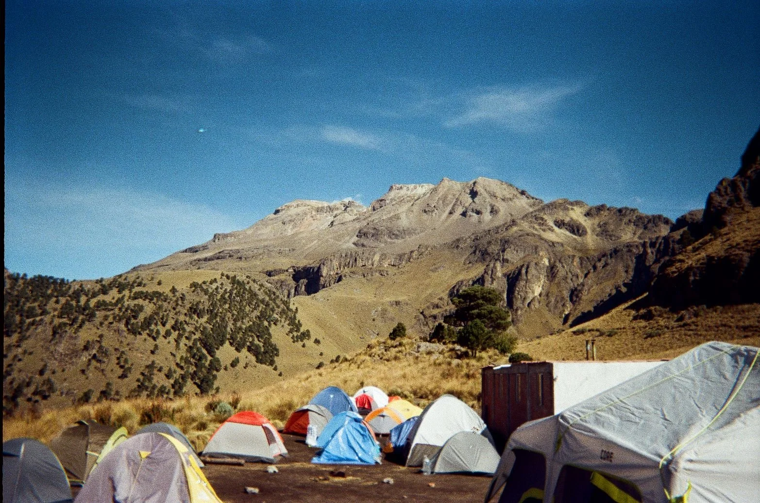 aventura monkeylion joya 3.jpeg