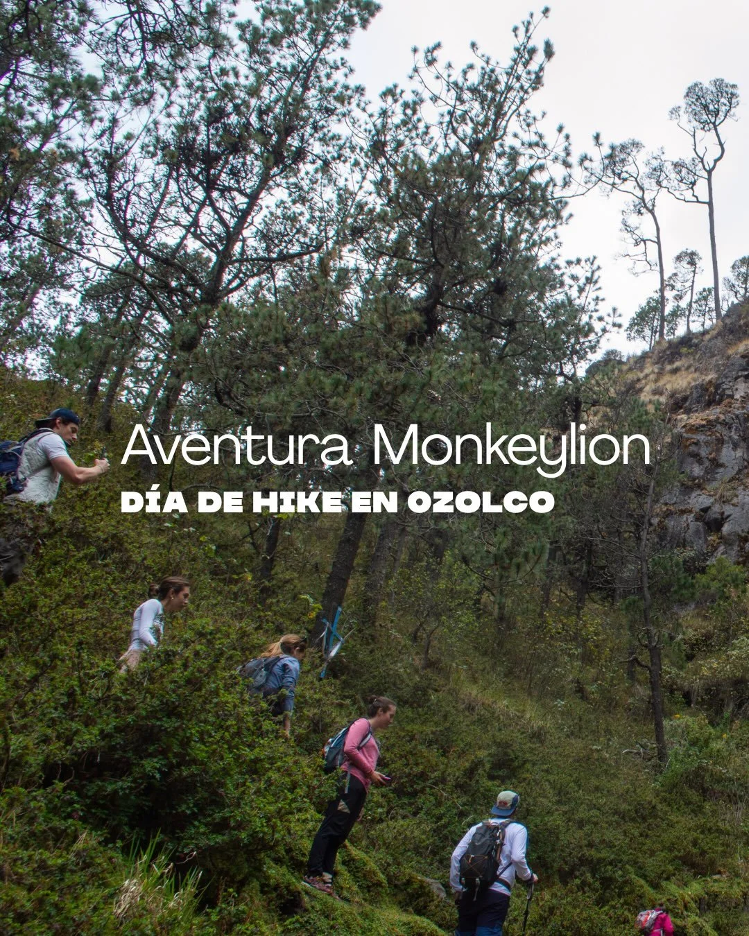 La MonkeyAventura que estabas esperando ya esta aqui! 
Nos vamos a nuestro bosque favorito &ldquo;Ozolco&rdquo; si todav&iacute;a no conoces estas cascadas vale 100% la pena venir a este Hike
Inscribirte en nuestra Pagina web!