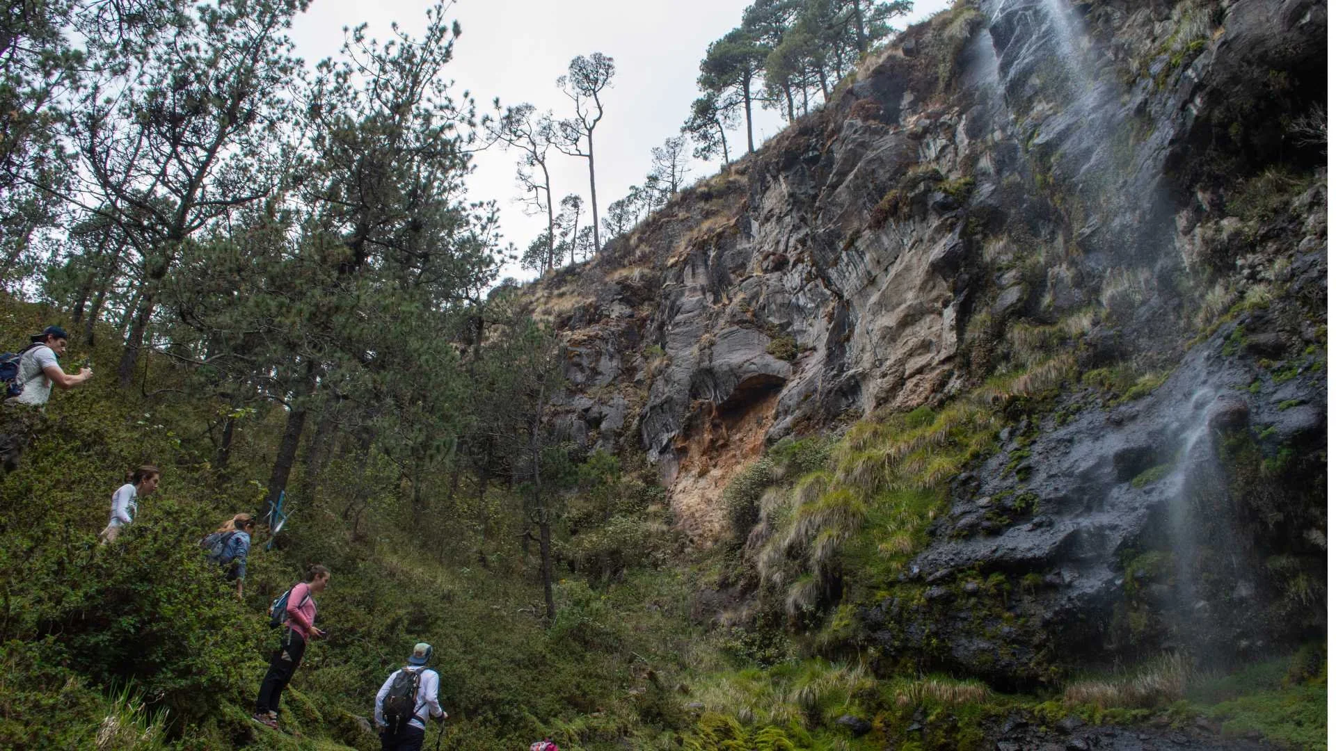 Group of hikers walking along a trail near a waterfall in a forested area with tall trees, rocks, and greenery.