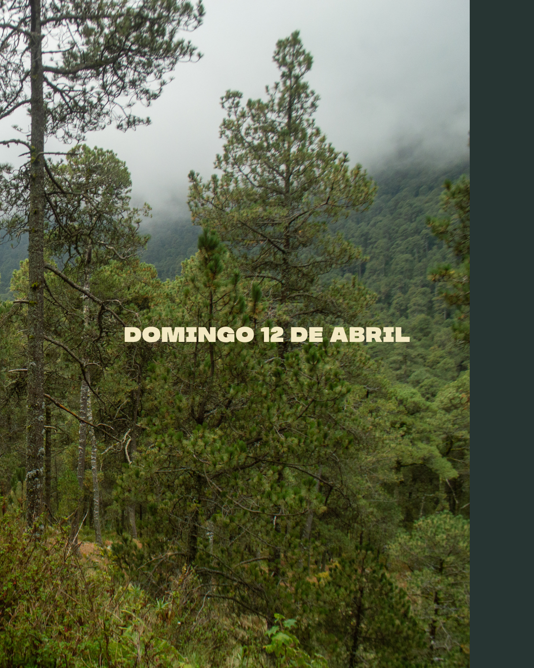 Aventura Monkeylion - Hike Ozolco 12 de abril.png