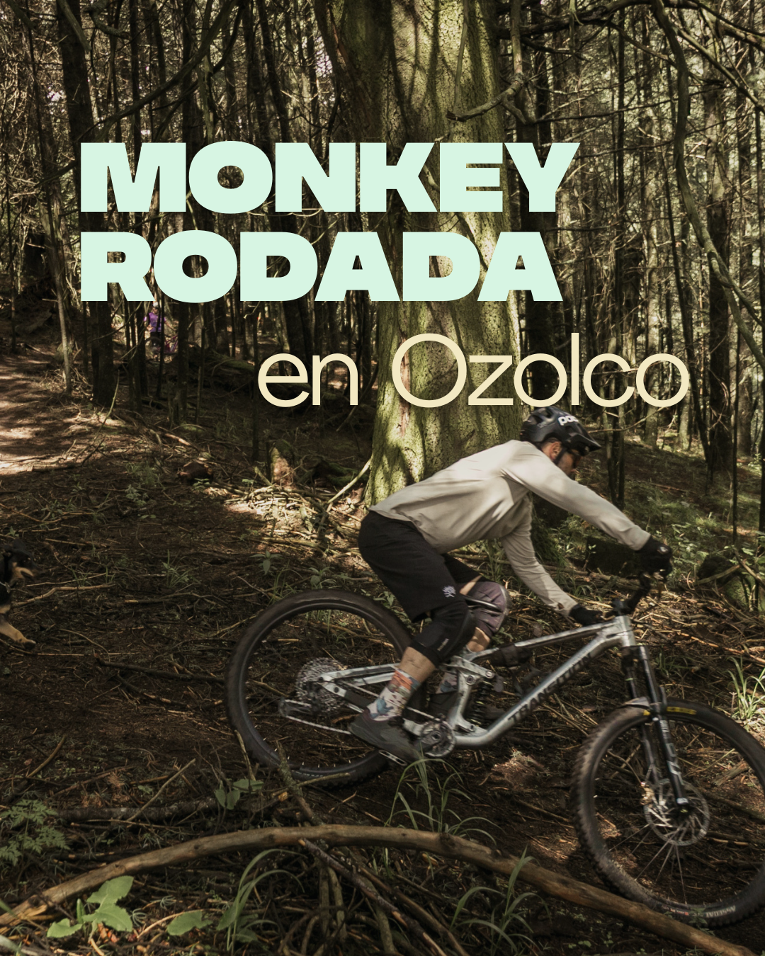 monkey rodada en ozolco (COVER2).png