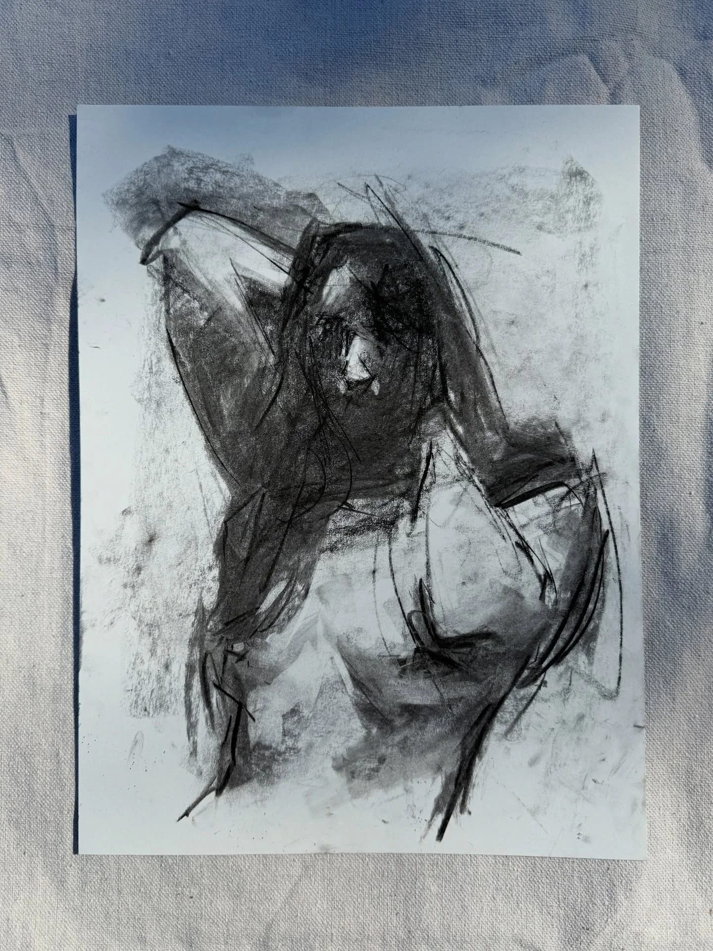 This week&rsquo;s life drawings
in the backyard

charcoal
&amp; more charcoal on paper

@lifedrawingbellingham
@katytiernan