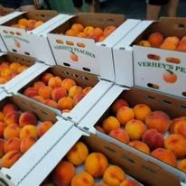 South South Area Peach Delivery