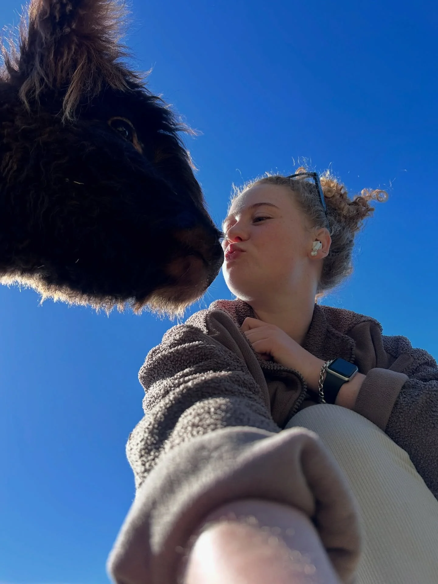 Cow kisses 💋💋