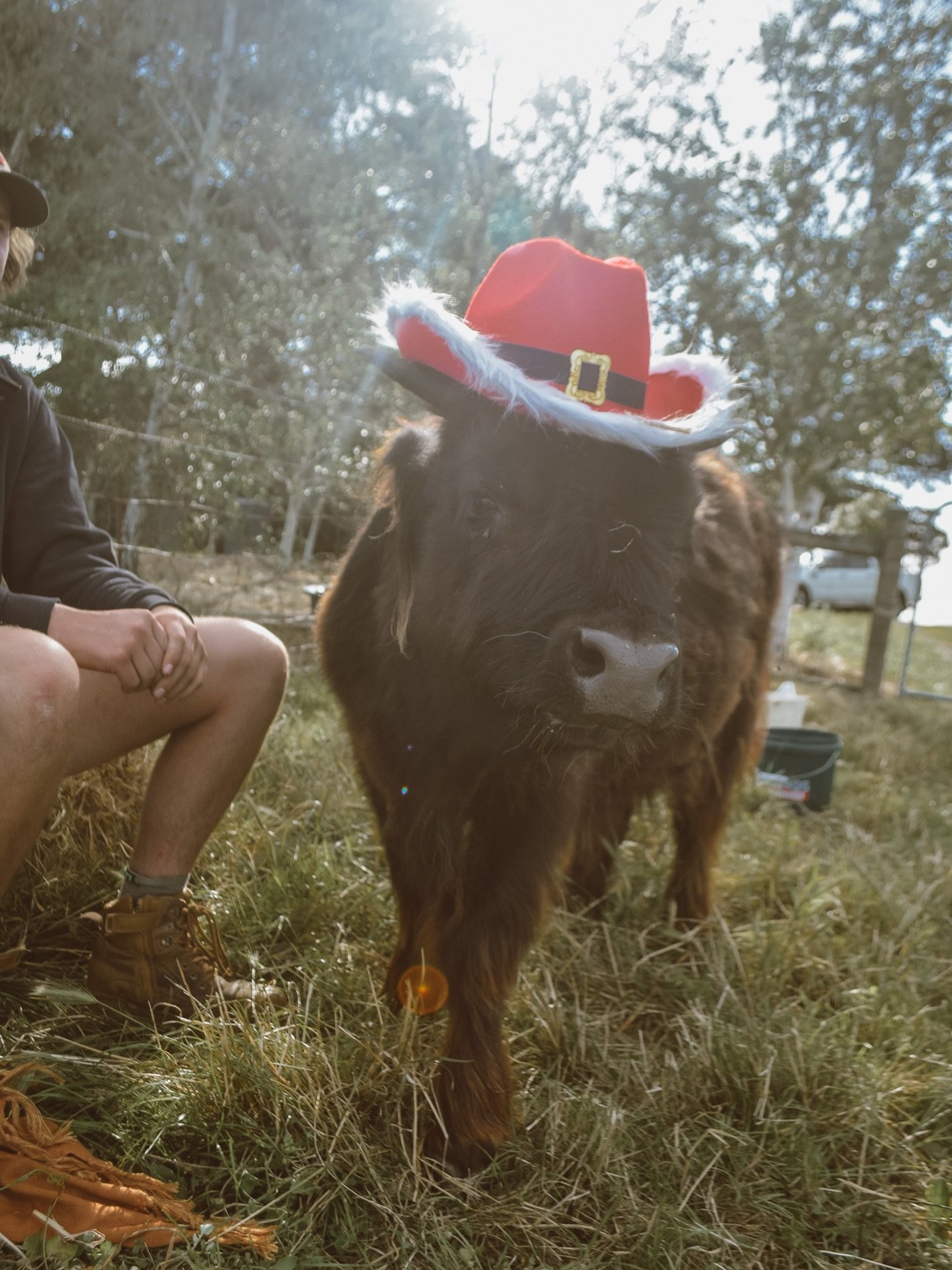 Merry belated Christmas from Kevin and all of us here at Hayes Girl Highlands! 

We hope that you spent time with all your beautiful friends and families and had tummies full of yummy food (maybe you&rsquo;re still getting through the leftovers 🤷&zw