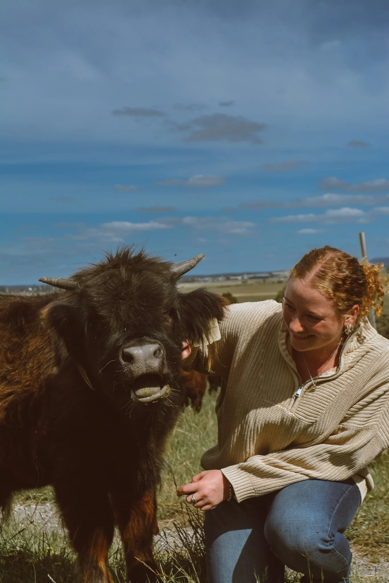 Young Woman crouching to pat Black Highland Cow