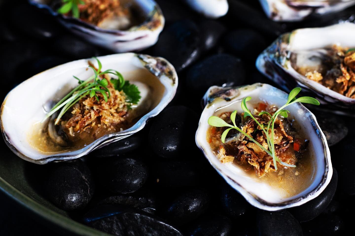 Our high quality, fresh oysters served natural or with our devine, Vietnamese-inspired vinaigrette.. a great way to start your Tokyo Doll experience.

Book now, link in bio!
 #byronbay #byronfood #byron #byronbayrestaurant #byronfoodie #byronbayguide