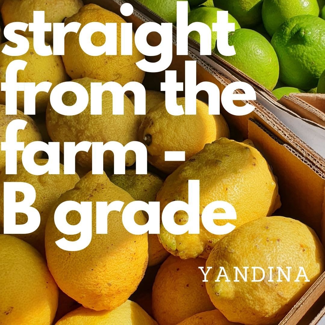 Straight from the farm at Yandina
Dried naturally at low temps over 36 hours - holds 95% nutrients!

40g packs in a stand up pouch
Use in chilled drinks, tea, Gin, cake decorations, cooking fish...

Great for #hampers #bbqs
#familygatherings #camping