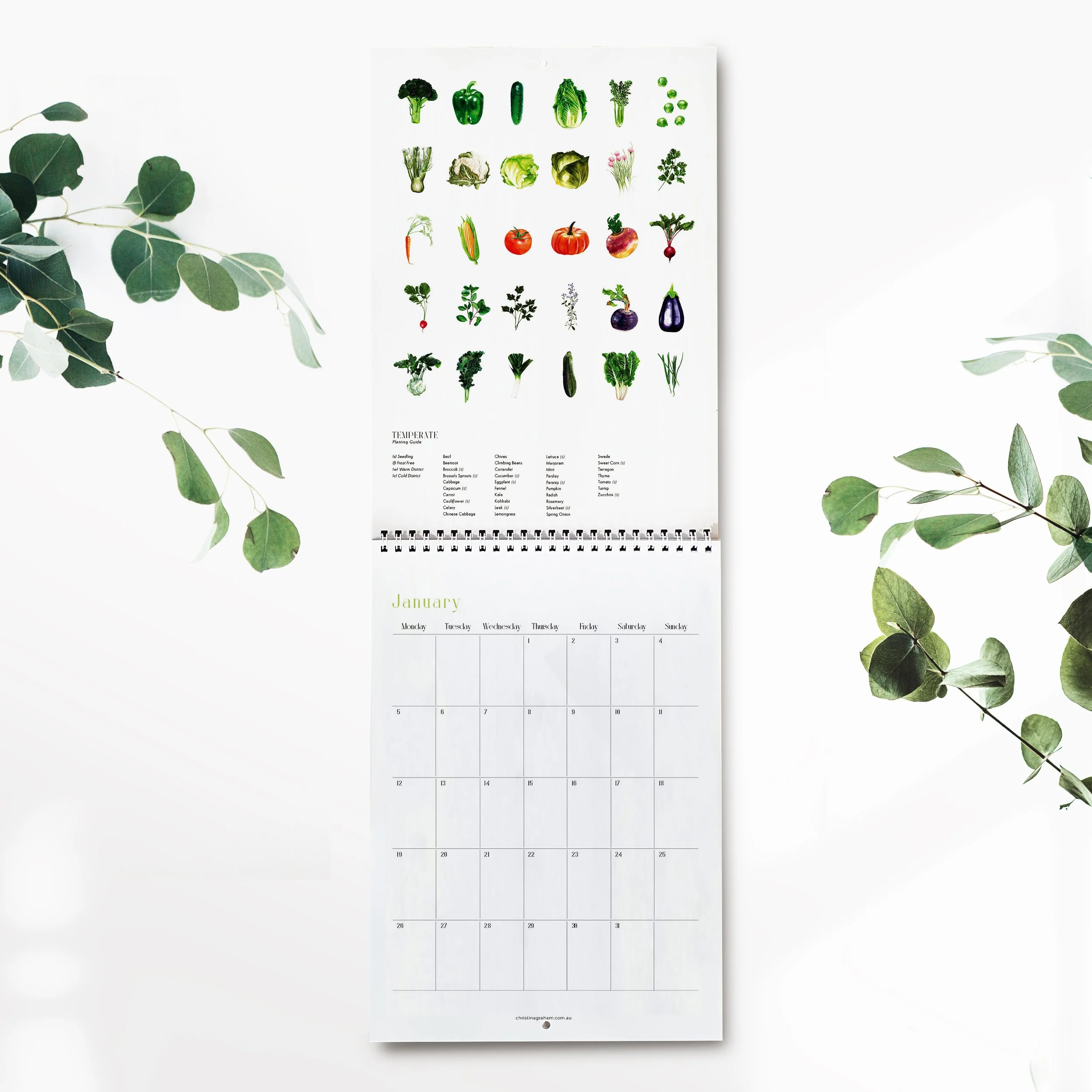 Illustration - 2026 Calendar - Frame Mockup Kit_Planting Guide Pages_January.jpg