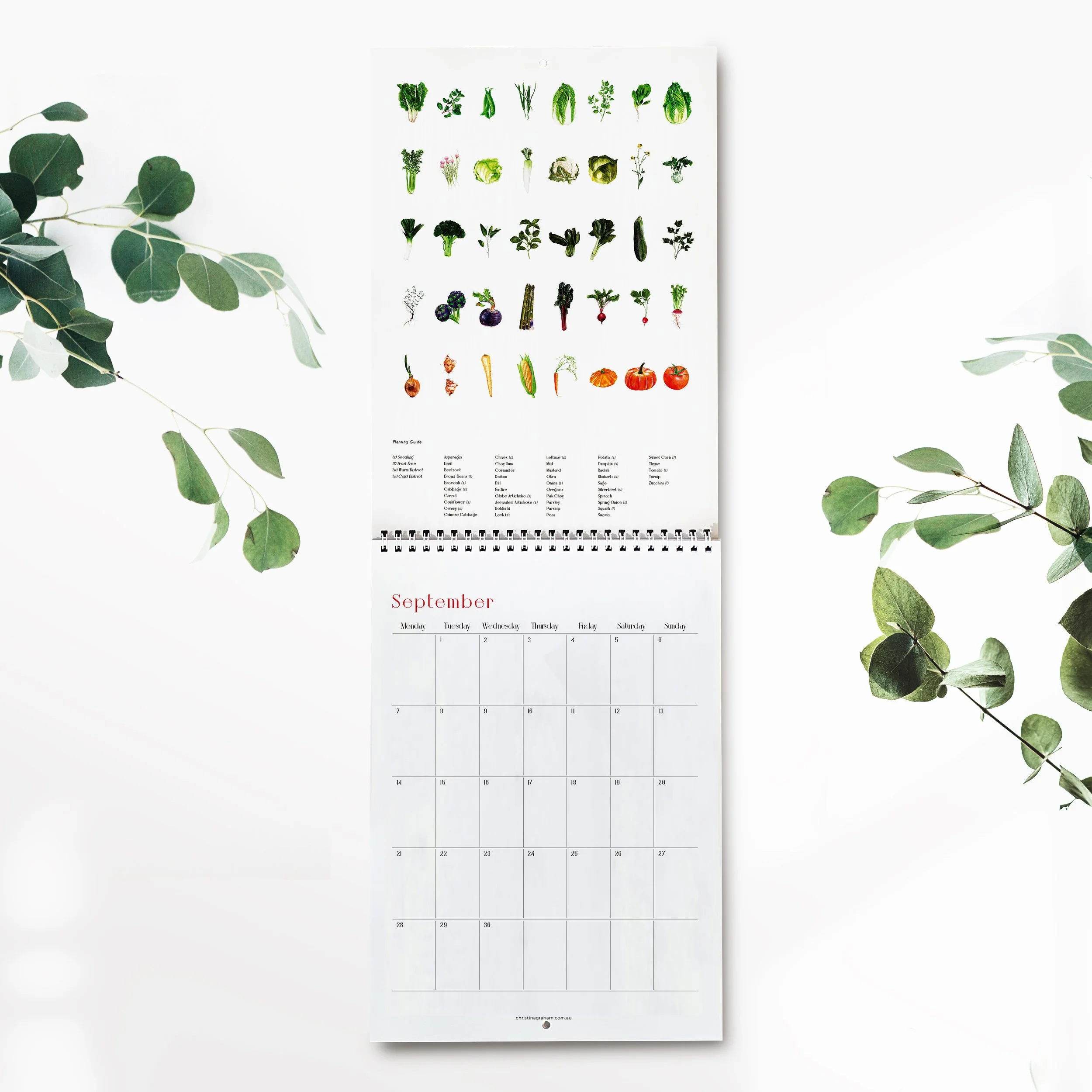 Illustration - 2026 Calendar - Frame Mockup Kit_Planting Guide Pages_September.jpg