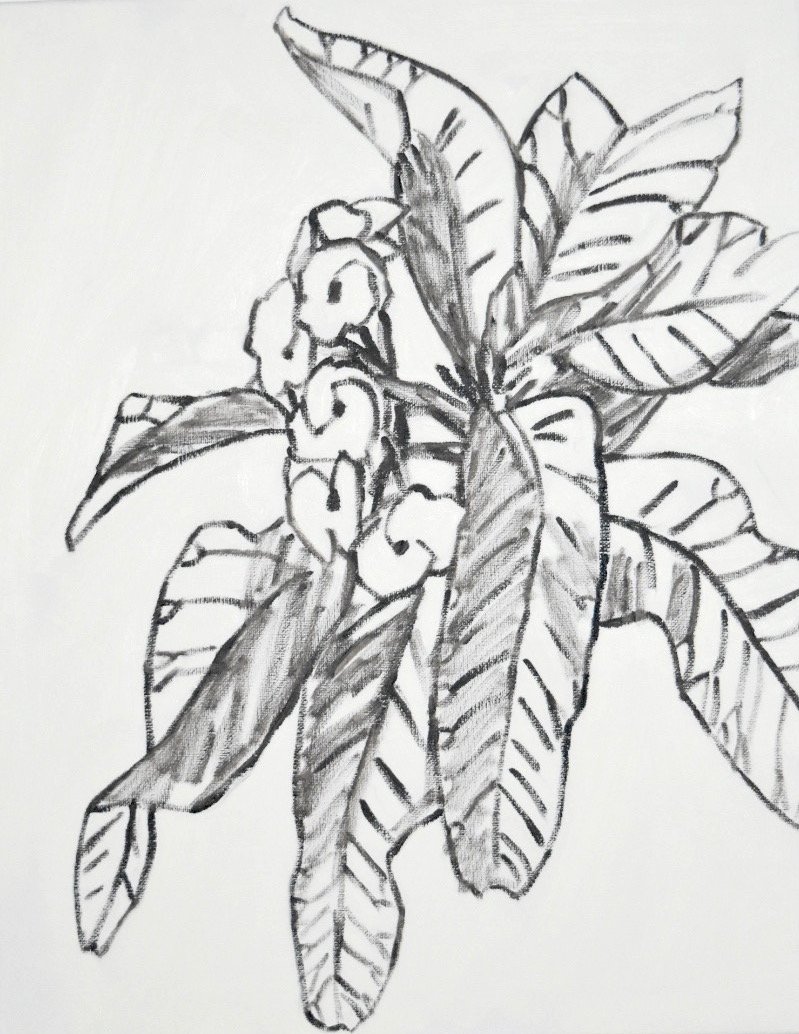 2021 drawn flower.jpeg