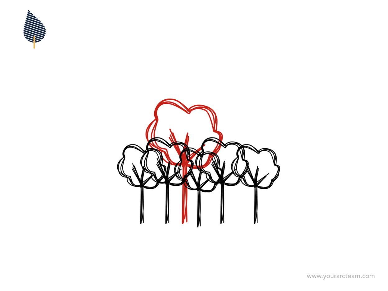 ⛺️ What if our differences aren't the problem, but our response to it is?