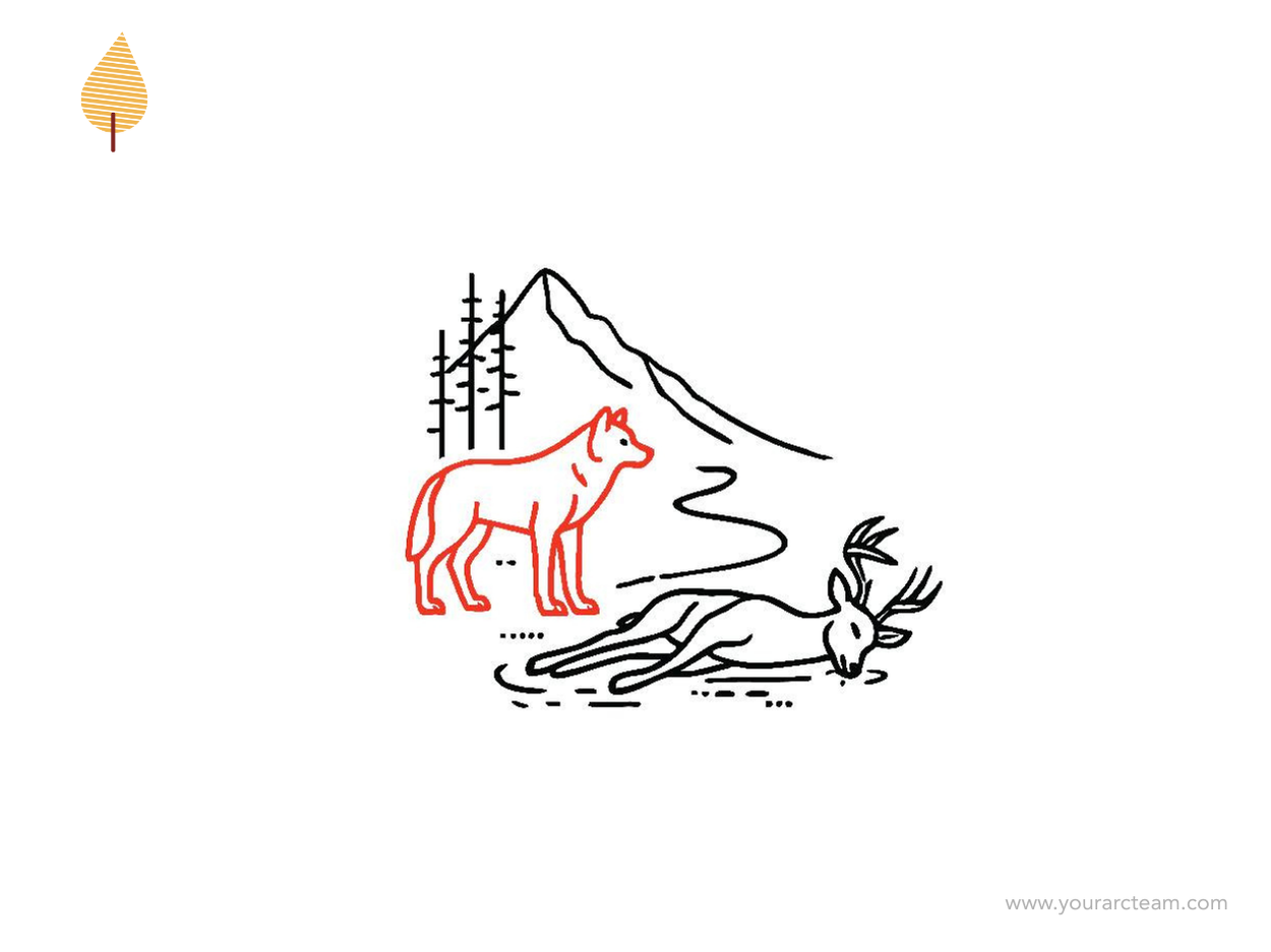 ⛺️ Solve the problem by fixing the system.