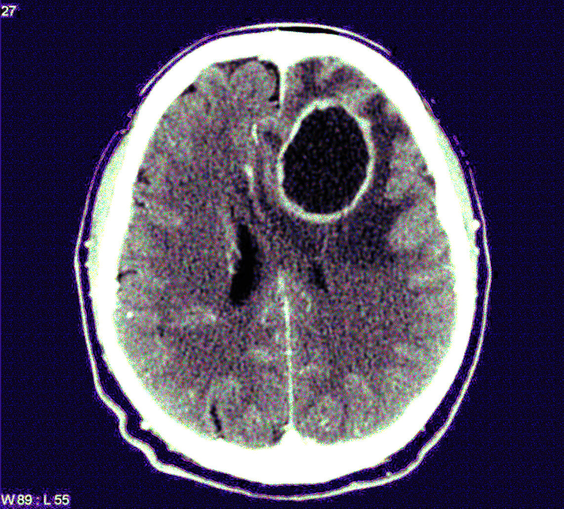 Screen Shot 2023-08-08 at 5.57.07 AM.png