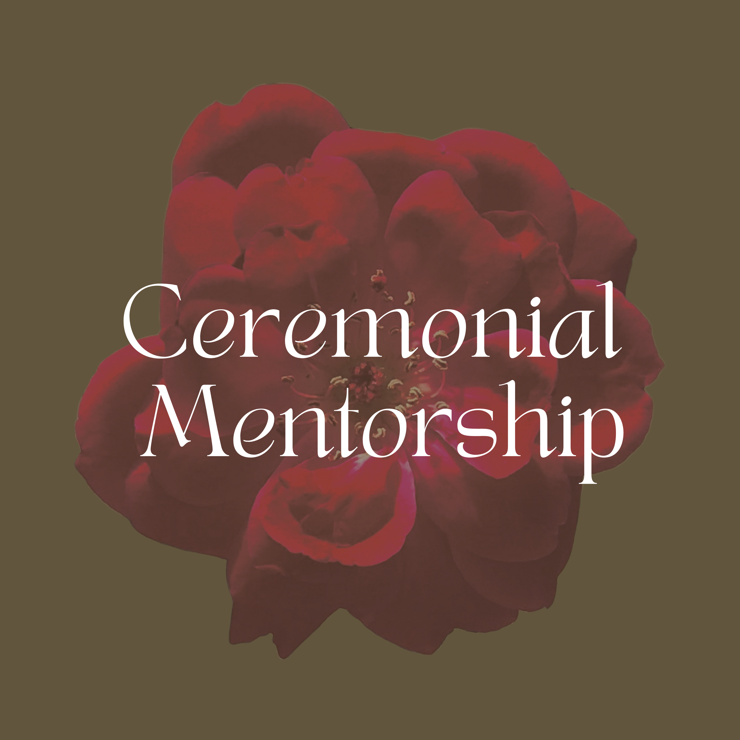 IG Ceremonial Mentorship (Banner).png